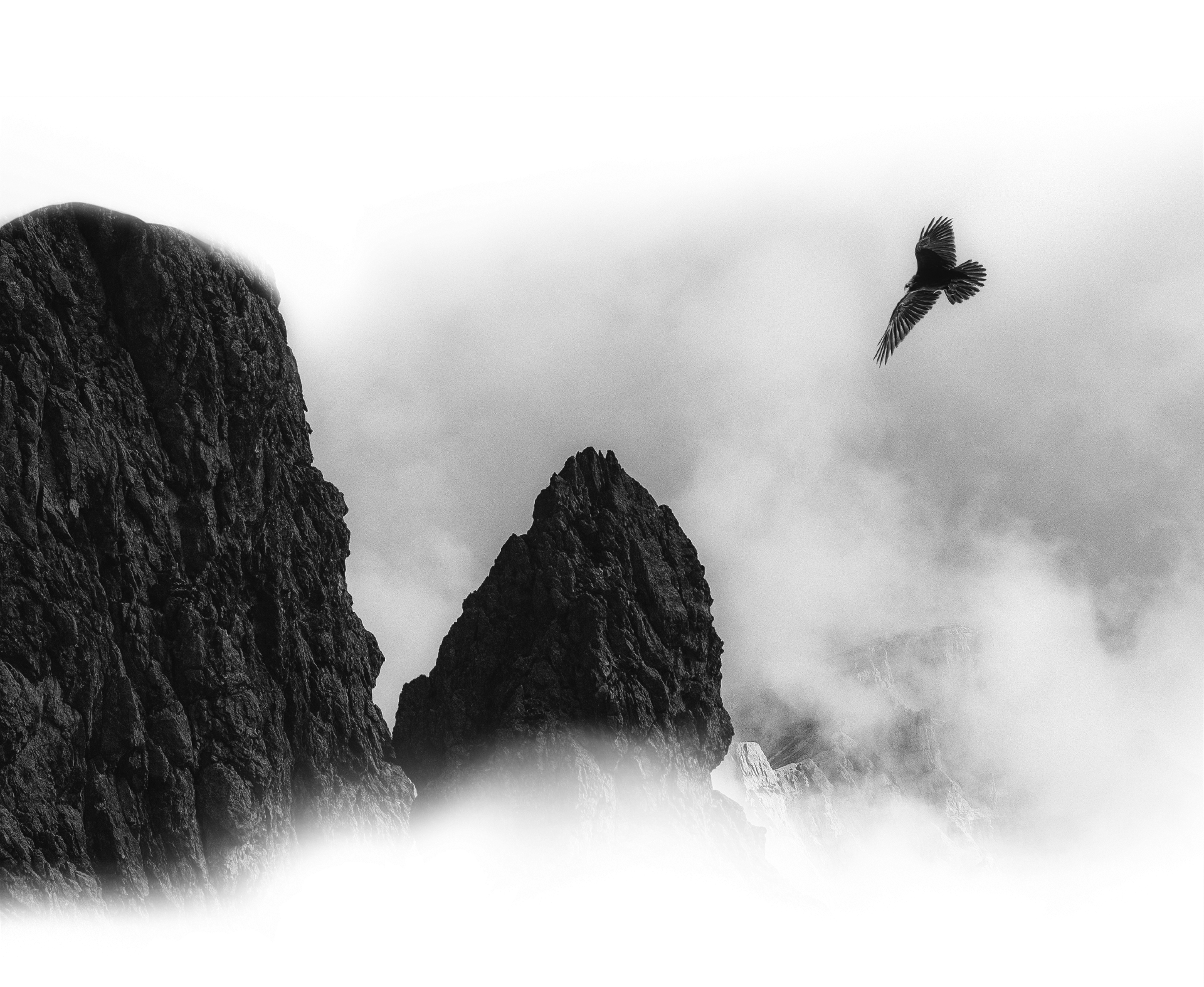 onboarding
